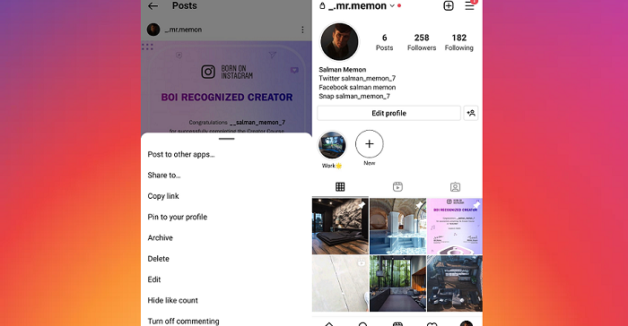 Instagram lanza prueba en vivo de publicaciones ancladas en perfiles de usuario